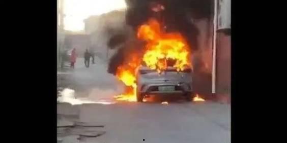 爆料海豚自燃事件视频在线观看,惊悚视频在线揭秘